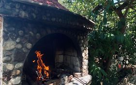 Garden Guesthouse